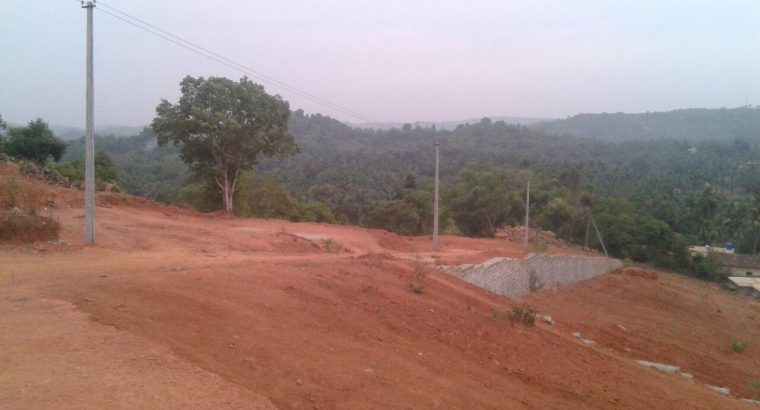 Site for SALE in Ganjimutt