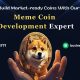 Build market-ready coins with our Meme Coin Development experts