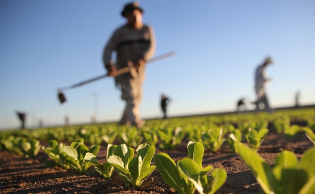 Agriculture