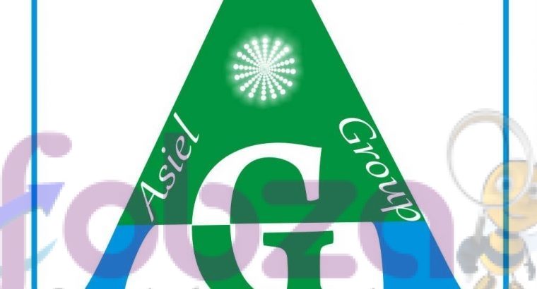 Asiel Group Construction And Development