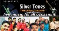 Band Silver Tones
