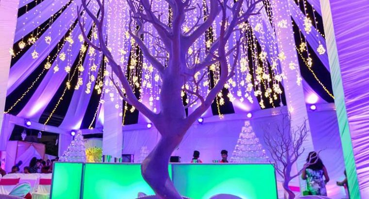 Exotica Event Solutions