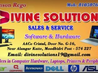 Divine Solutions