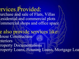 Angel Properties and Marketing