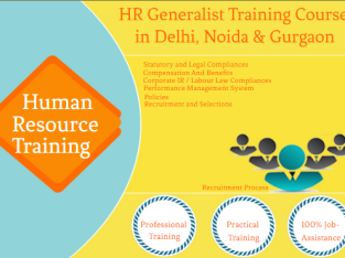Offline HR Course in Delhi, 110041 with Free SAP HCM HR Certification by SLA Consultants Institute in Delhi, NCR, HR Analytics Certification [100% Job, Learn New Skill of ’24]” Double Your Skills Offer” get HCL HR Payroll Professional Training,