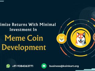 Maximize Returns With Minimal Investment In Meme Coins Development