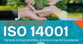 ISO 14001 Certification in Dubai
